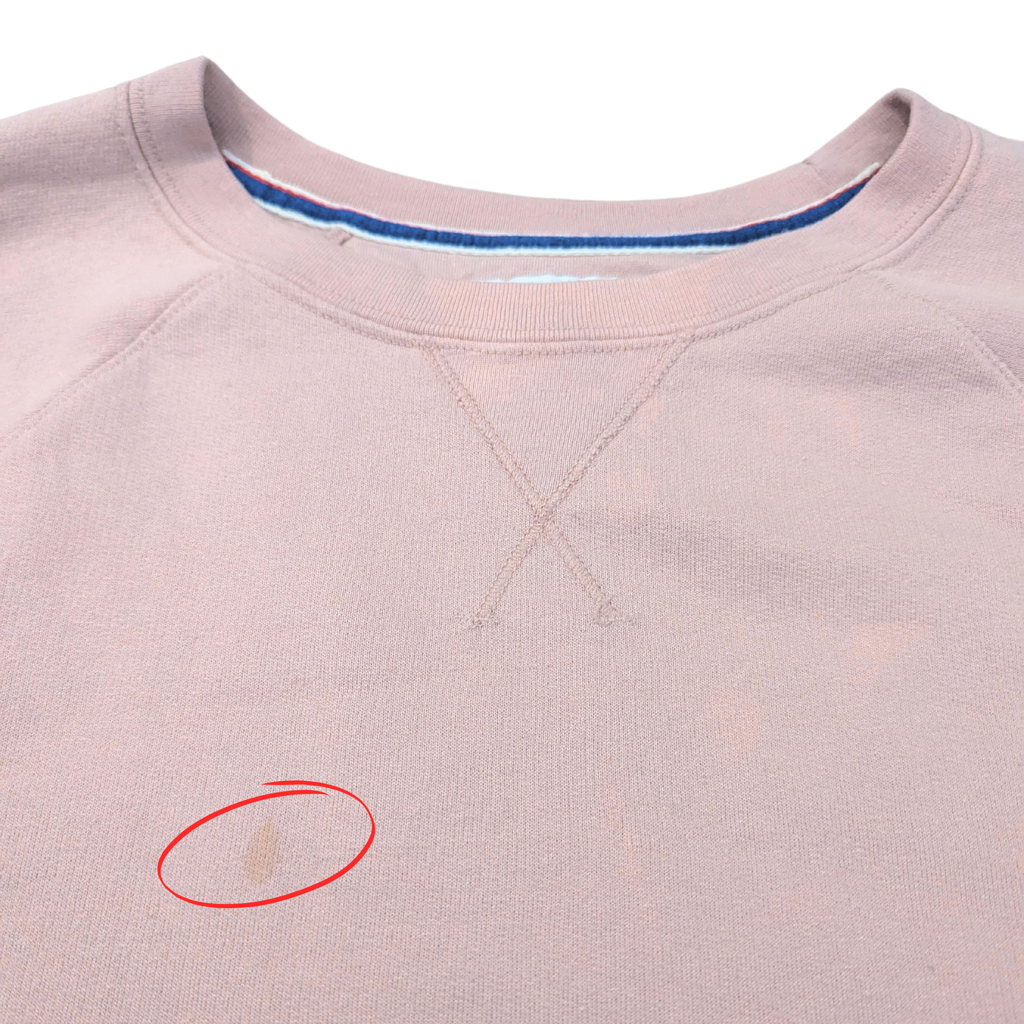 Pink Champion Jumper