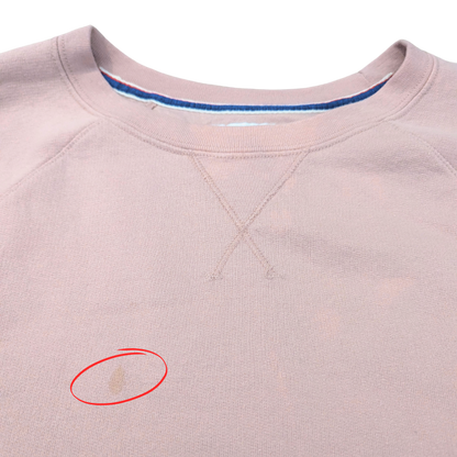 Pink Champion Jumper